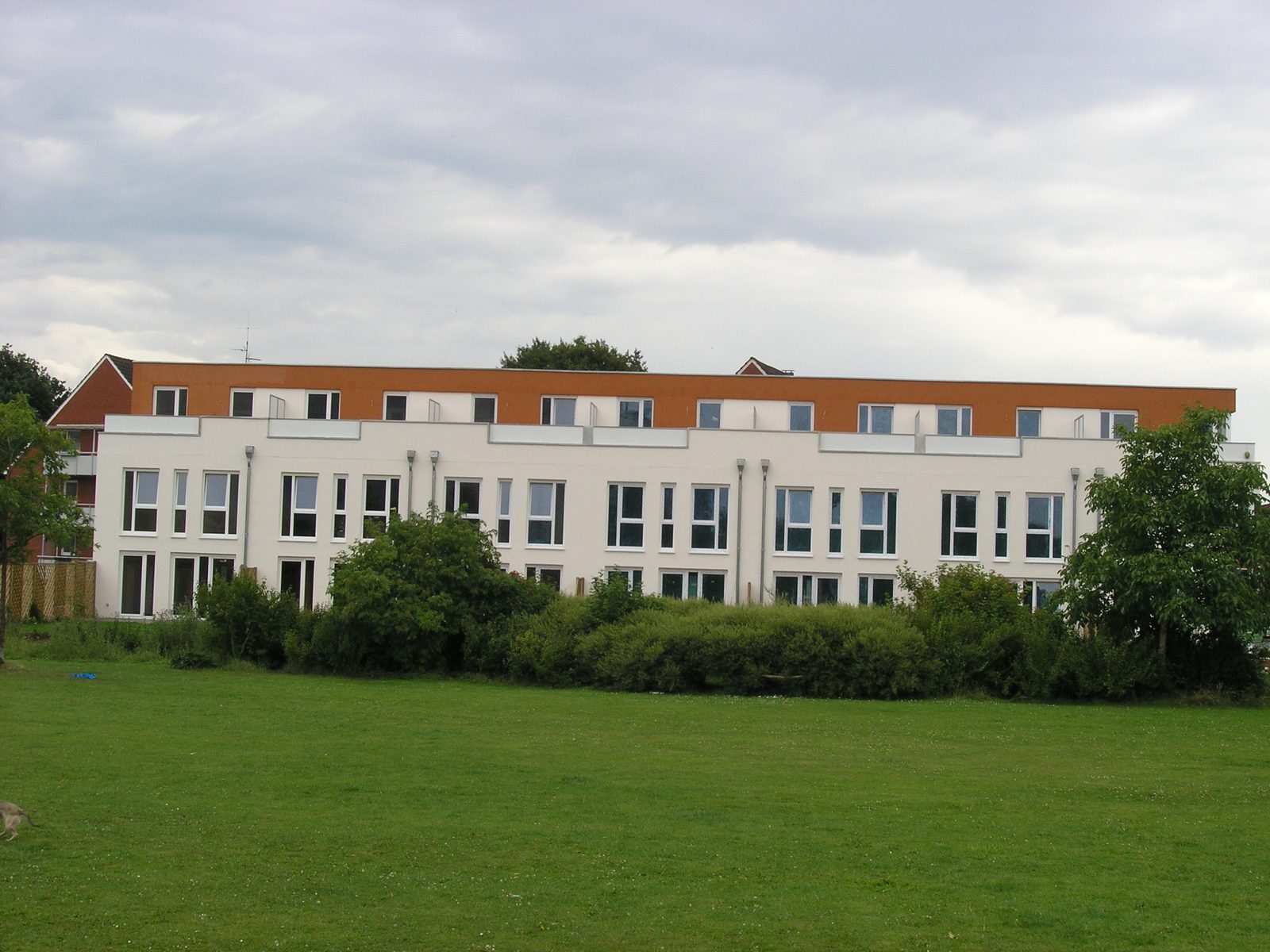 Gartenseite der Zeile zur angrenzenden Grünfläche